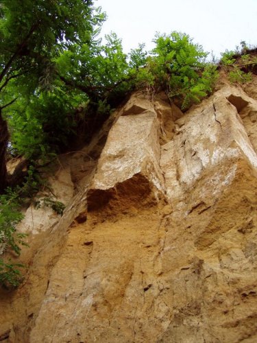 Přírodní památka Olšava - 30.8.2006